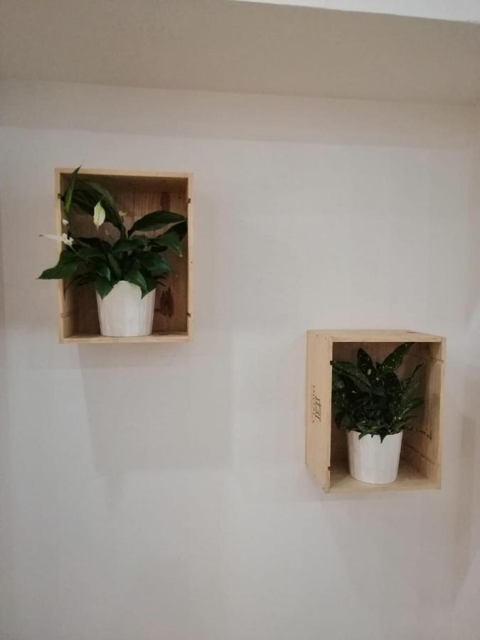 Apartamento Luna De Noviembre Málaga Extérieur photo