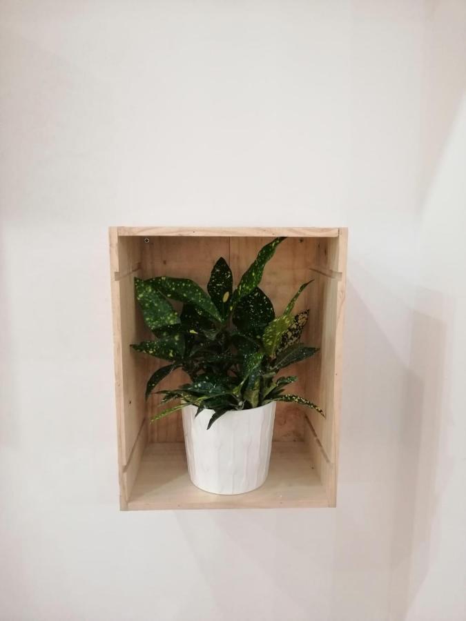Apartamento Luna De Noviembre Málaga Extérieur photo